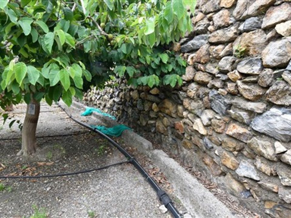Finca i Motril, Granada - foto 3